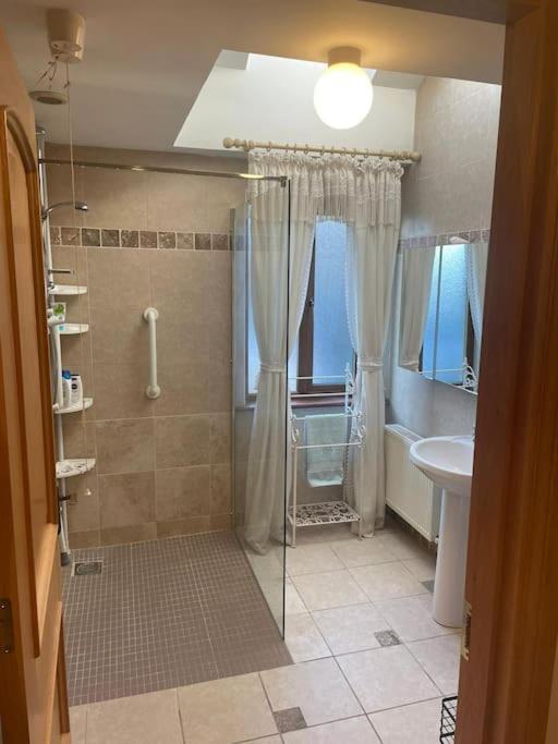 Borodino Studio Apartment Enniscorthy Kültér fotó