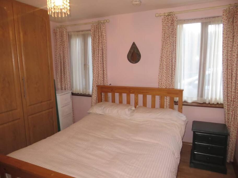Borodino Studio Apartment Enniscorthy Kültér fotó